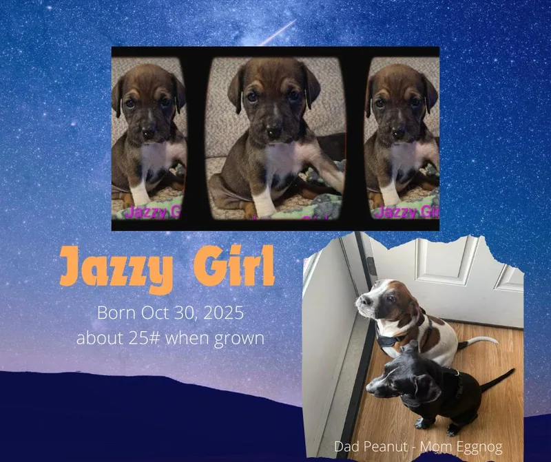 Jazzy Girl thumbnail 2