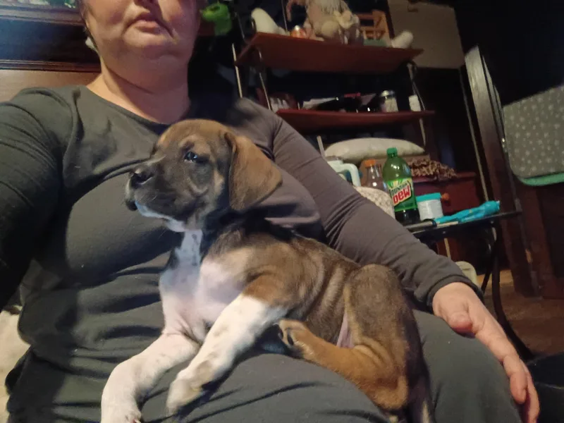 Jazzy Girl thumbnail 4