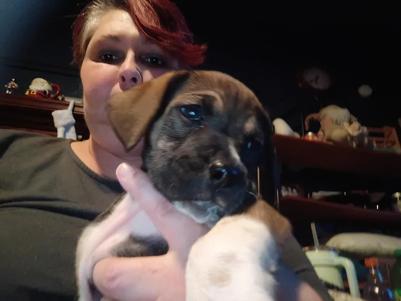 Jazzy Girl thumbnail 5