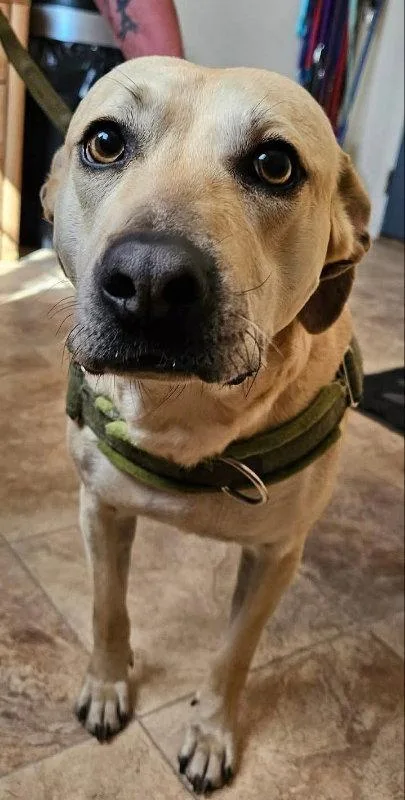 Little Bit thumbnail 2