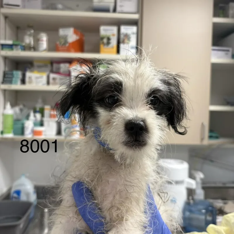 Walter A thumbnail 5