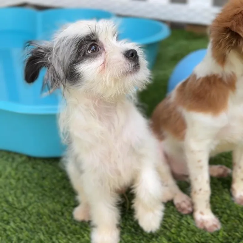 Walter A thumbnail 6