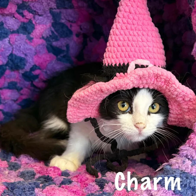 Charm