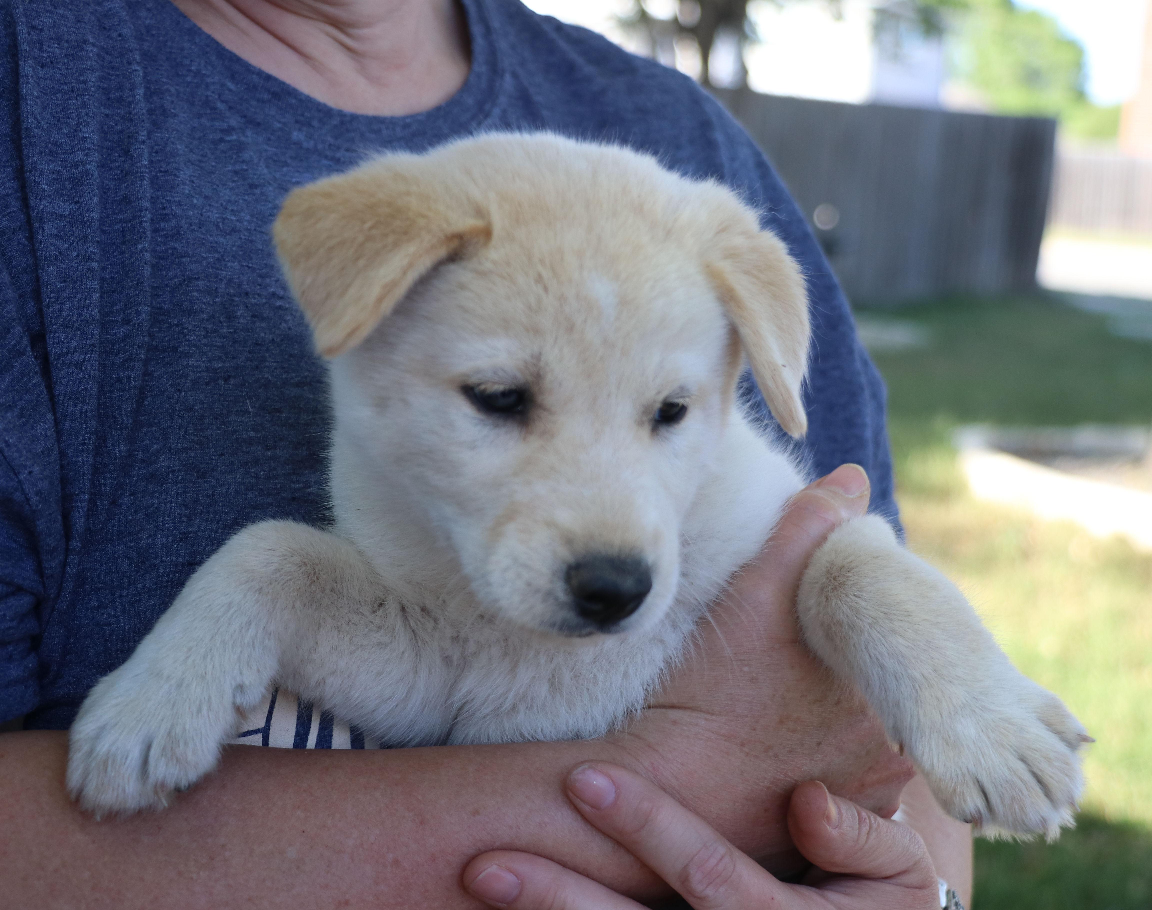 Ghost Lynn thumbnail 3