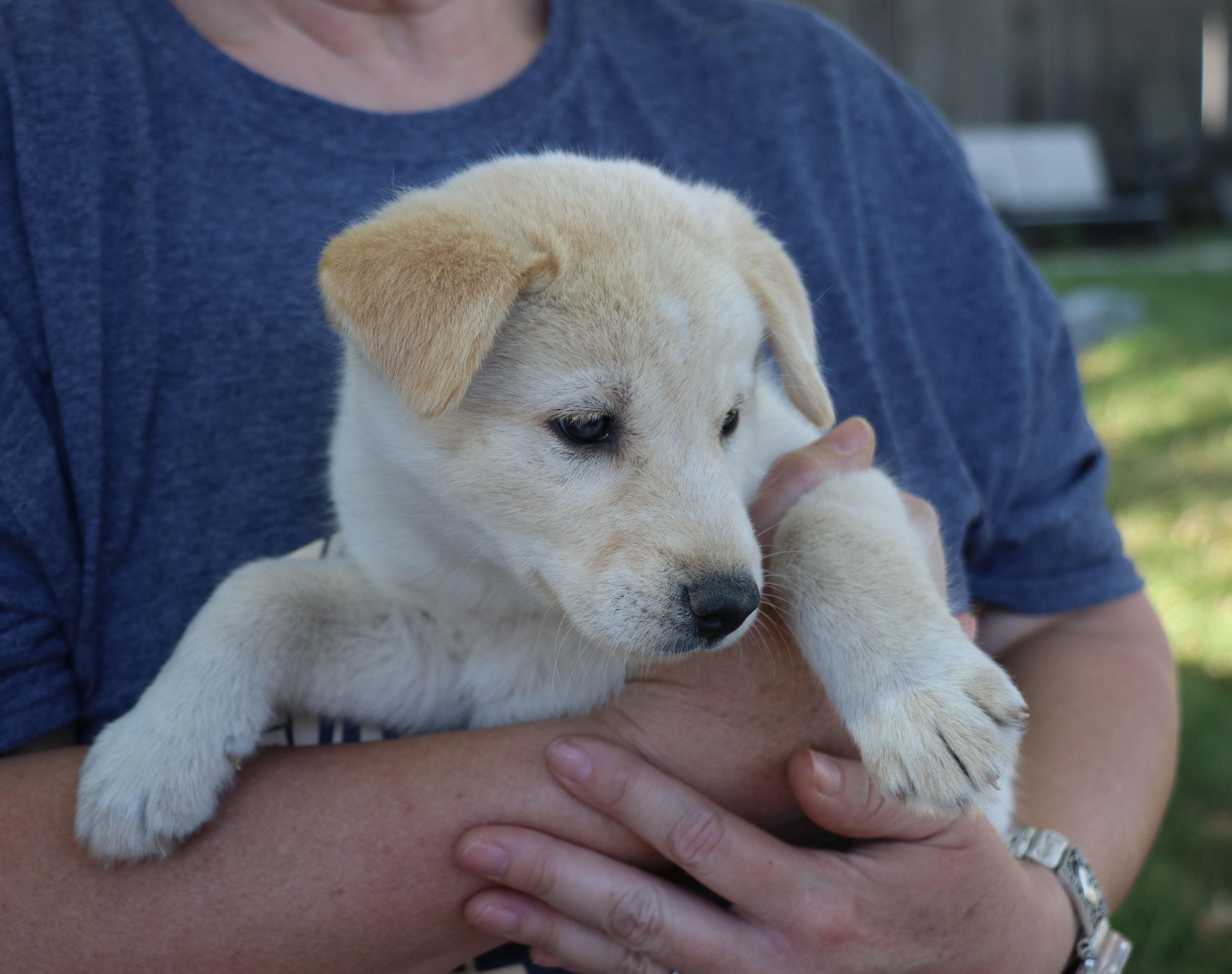 Ghost Lynn thumbnail 4