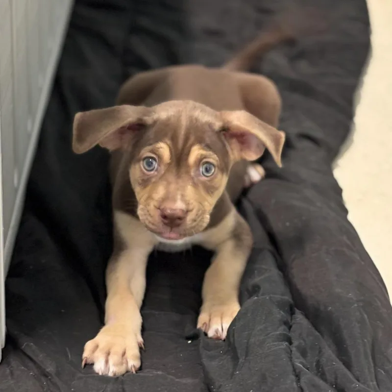 Nella AKA Burrito thumbnail 3