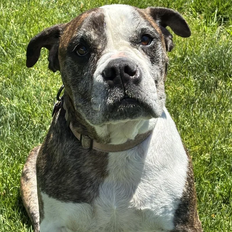 Lena