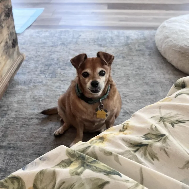 Lola thumbnail 5