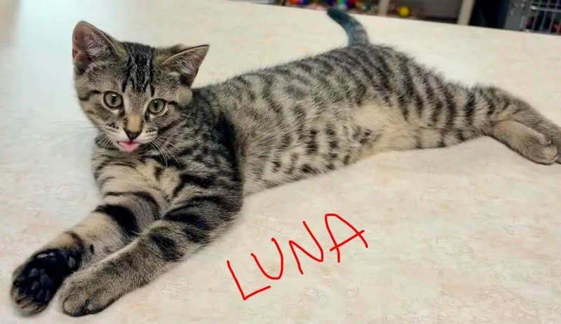 Luna