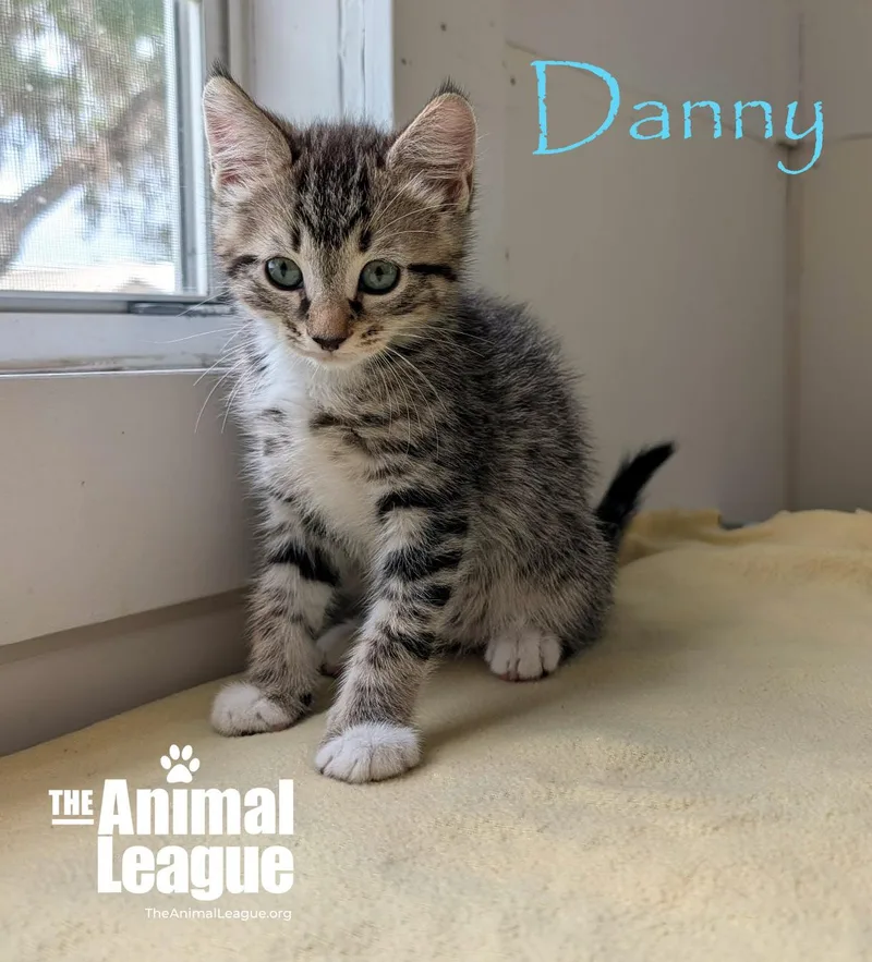Danny thumbnail 2