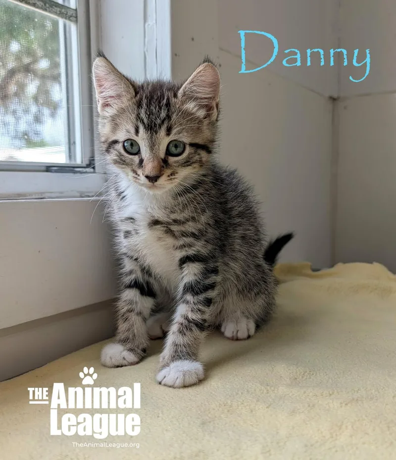 Danny thumbnail 3