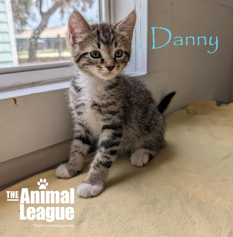 Danny thumbnail 4