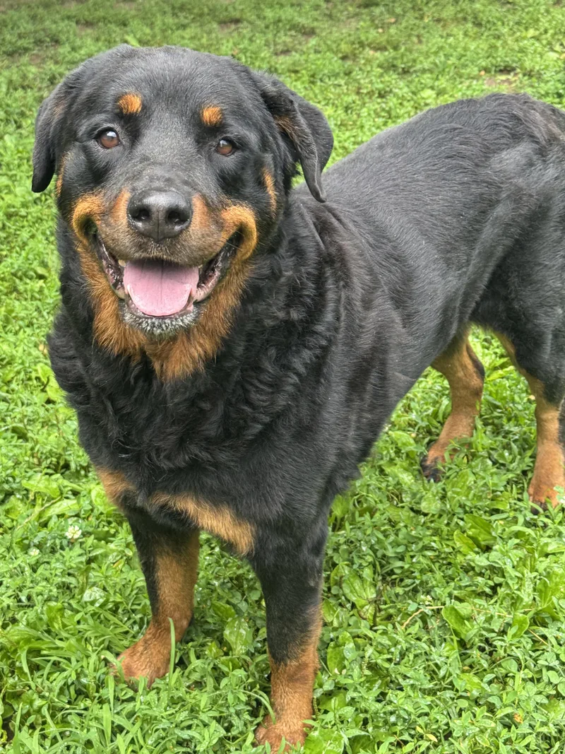 Coco