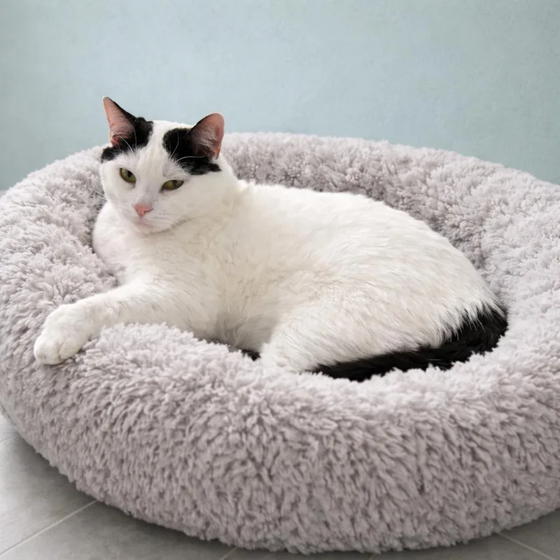 Lulu – Bold Spirit thumbnail 2