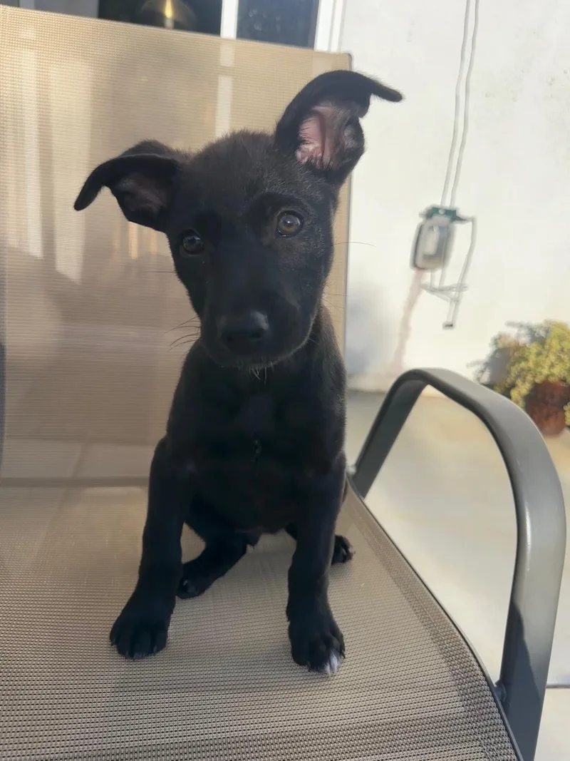 Luna