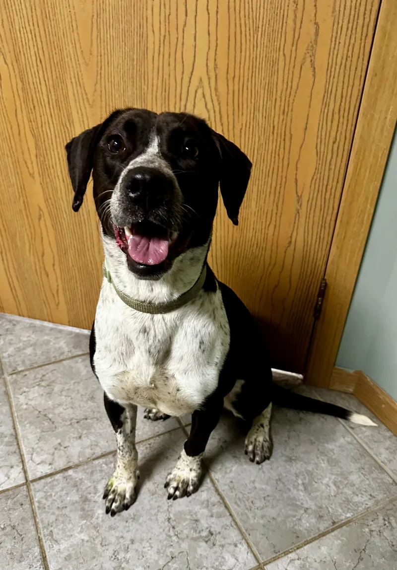 Daisy Mae thumbnail 2