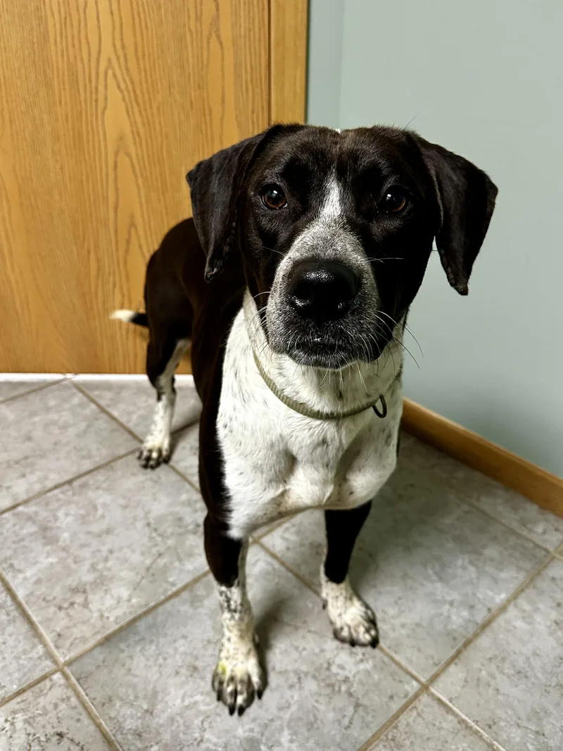 Daisy Mae thumbnail 3