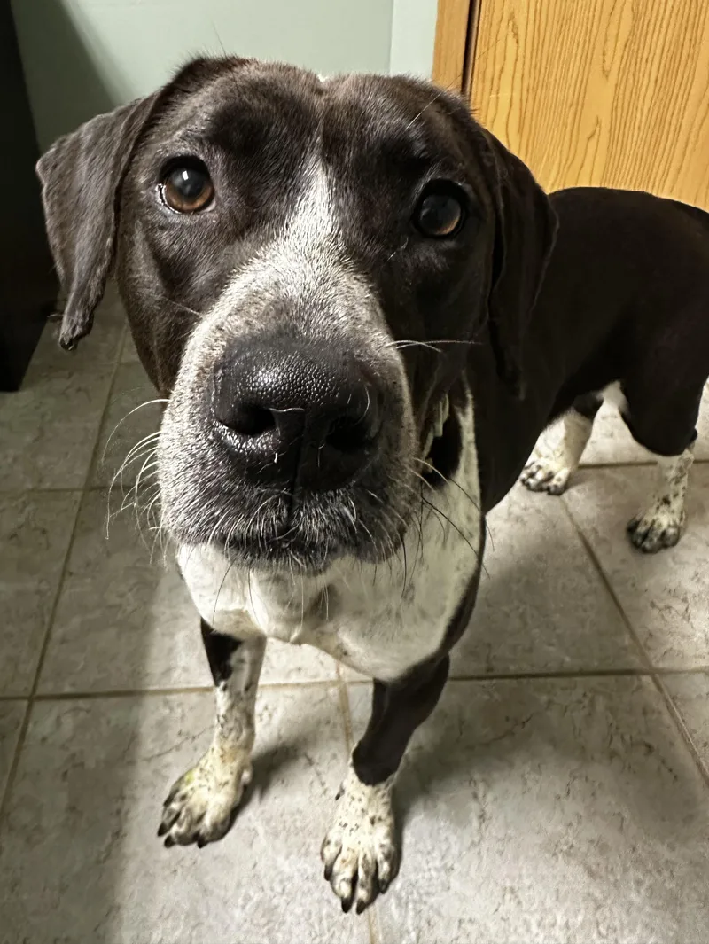 Daisy Mae thumbnail 4