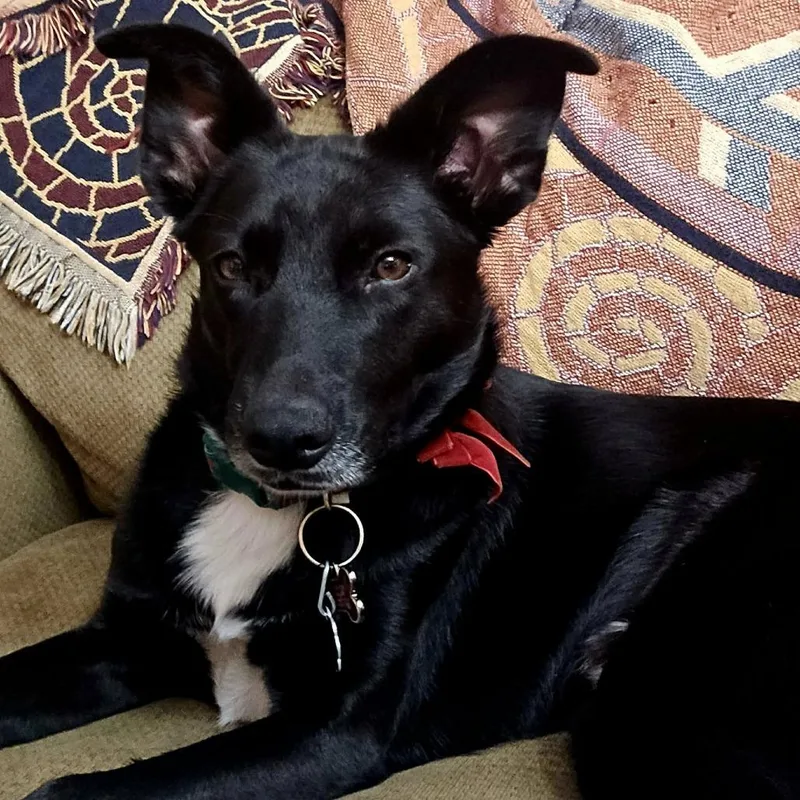 Radar Jj thumbnail 2