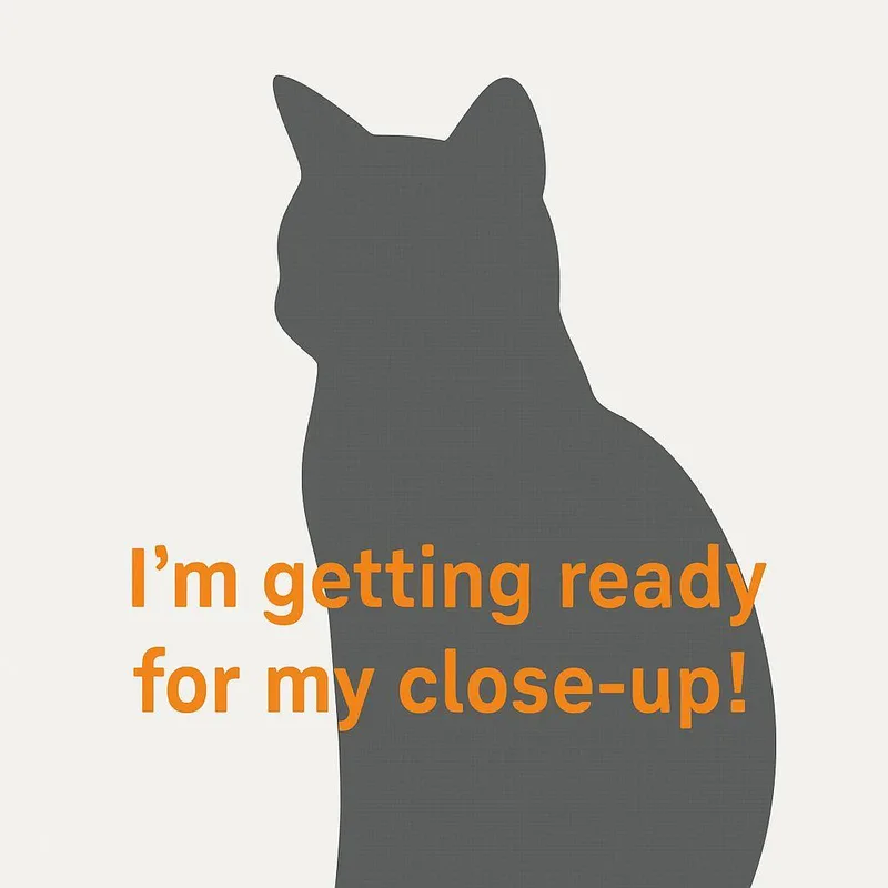 An adult medium-sized female Black Domestic Short Hair cat named Peach Jam for adoption in New York, NY