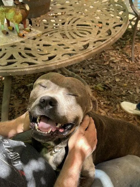 George  Survival To thumbnail 2