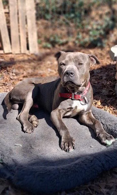 George  Survival To thumbnail 3