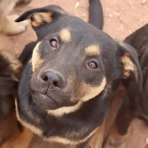 Loretta Lynn thumbnail 2