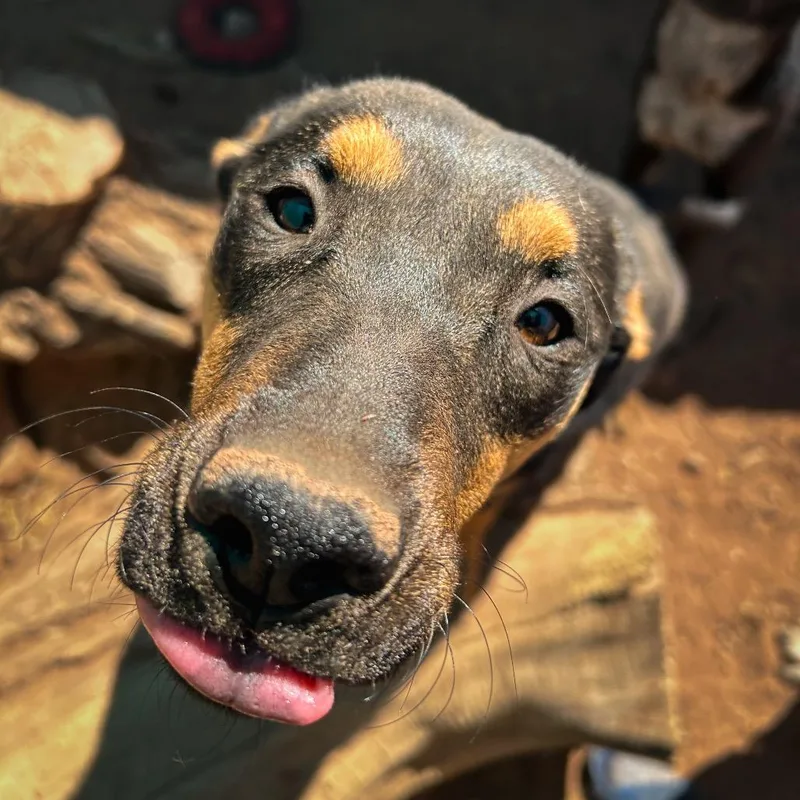 Loretta Lynn thumbnail 4