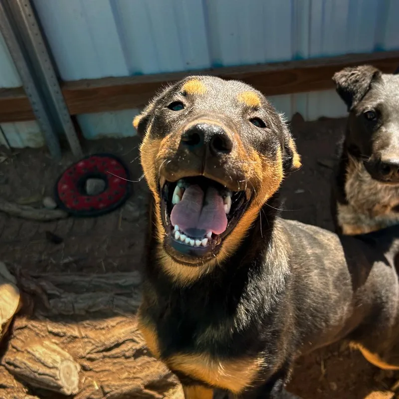 Loretta Lynn thumbnail 5