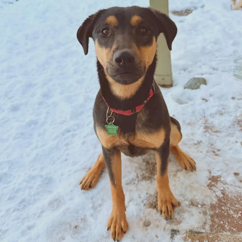 Loretta Lynn thumbnail 6