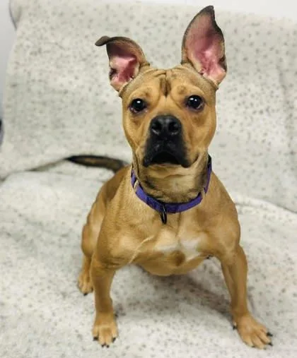 Witherspoon thumbnail 2