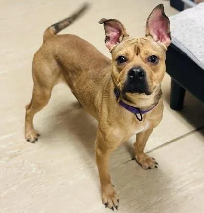 Witherspoon thumbnail 3