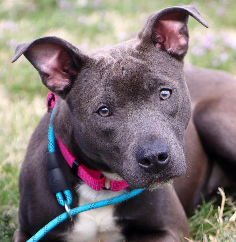 Sea Breeze thumbnail 2