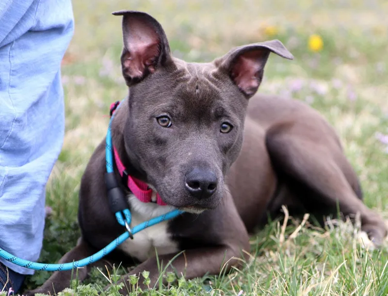 Sea Breeze thumbnail 3