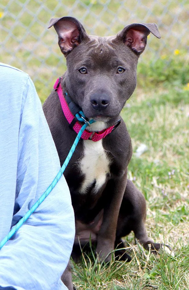 Sea Breeze thumbnail 4