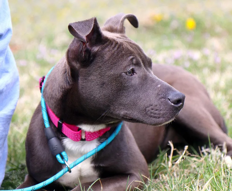 Sea Breeze thumbnail 5