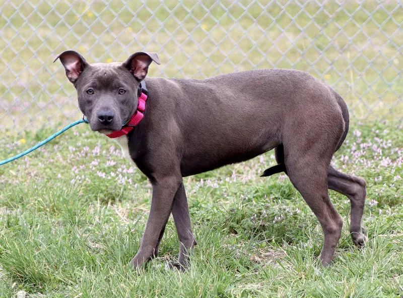 Sea Breeze thumbnail 6