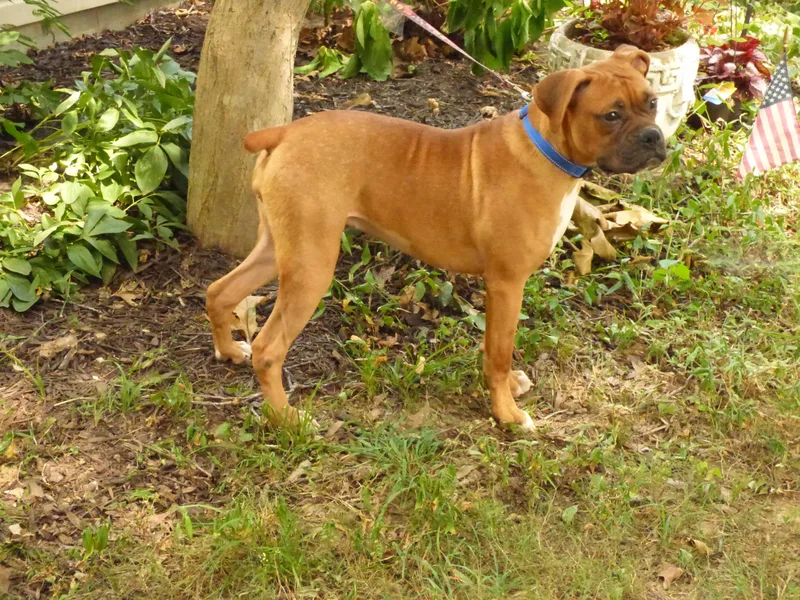 Delilah