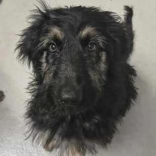 Fruit Snack thumbnail 2