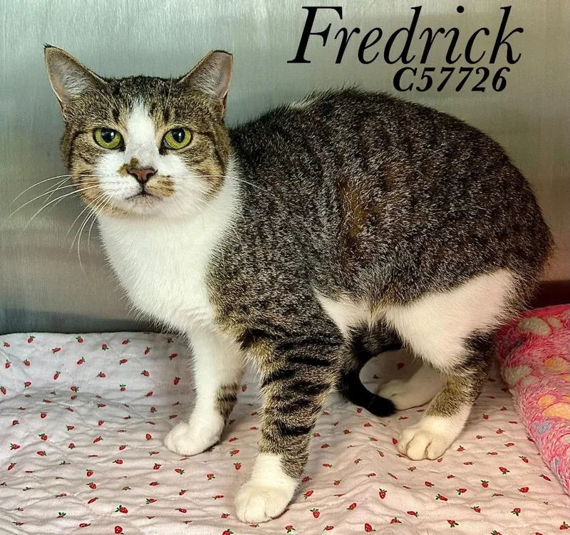 Fredrick