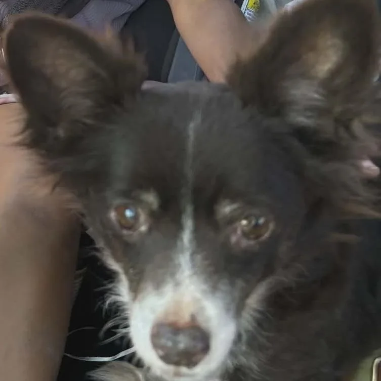 Fiona