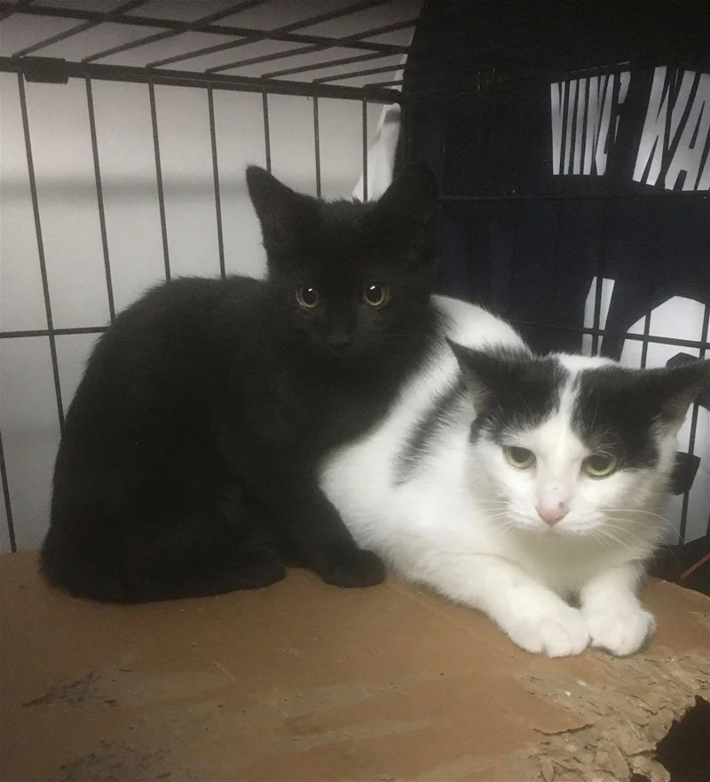 Jackie Bonded With Alexis thumbnail 2