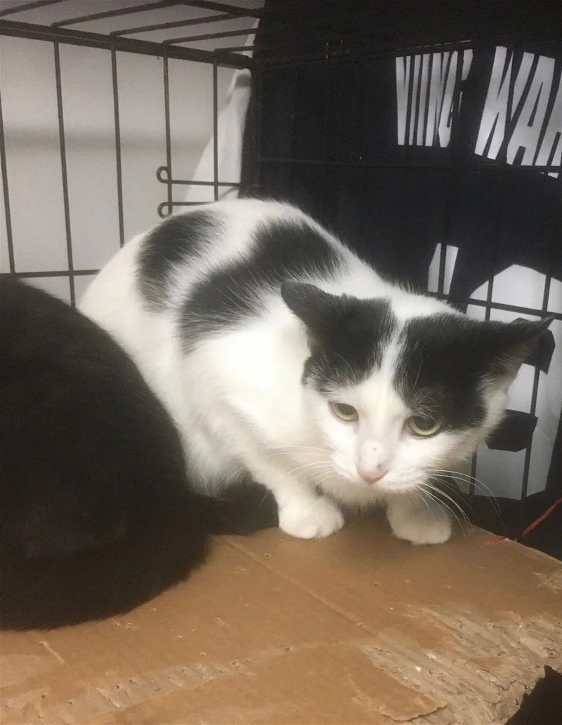 Jackie Bonded With Alexis thumbnail 3