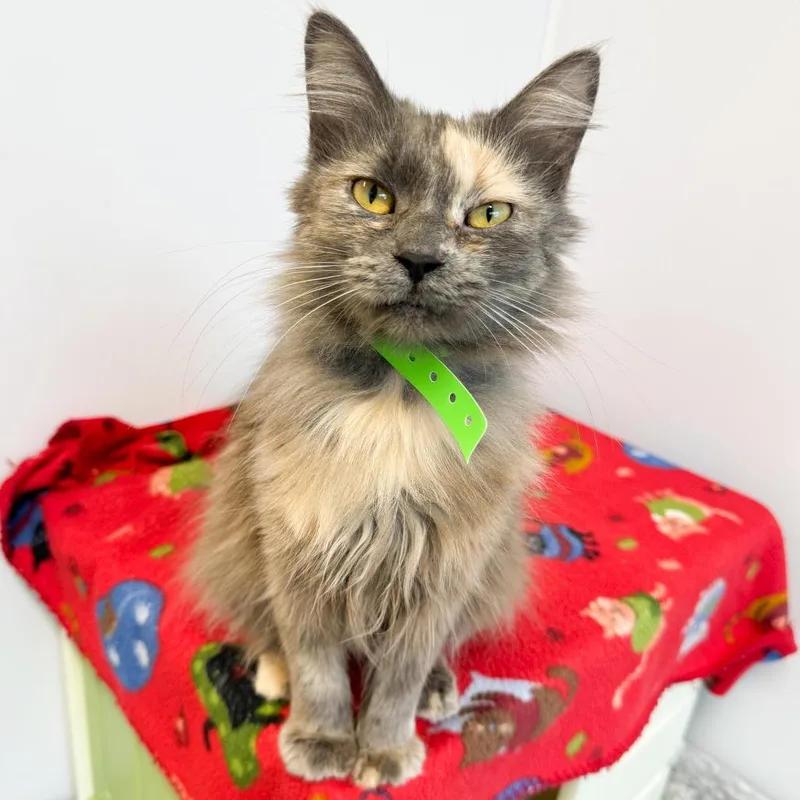 Prayer thumbnail 2