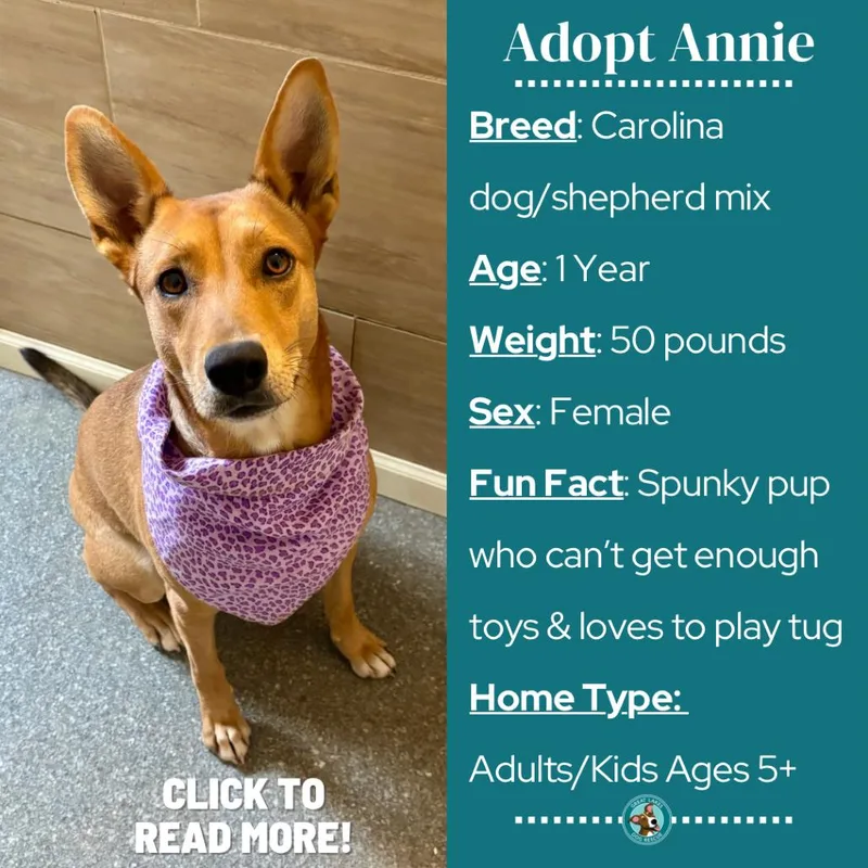 Annie thumbnail 5