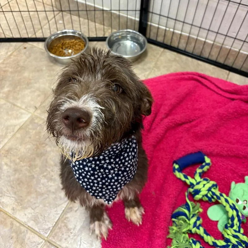 River Annabelle thumbnail 2