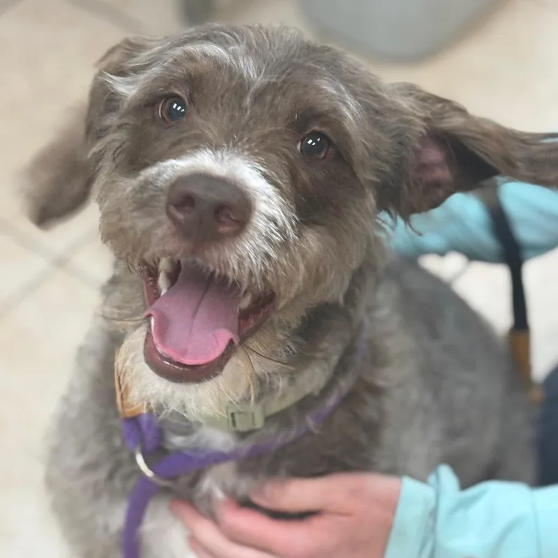 River Annabelle thumbnail 3