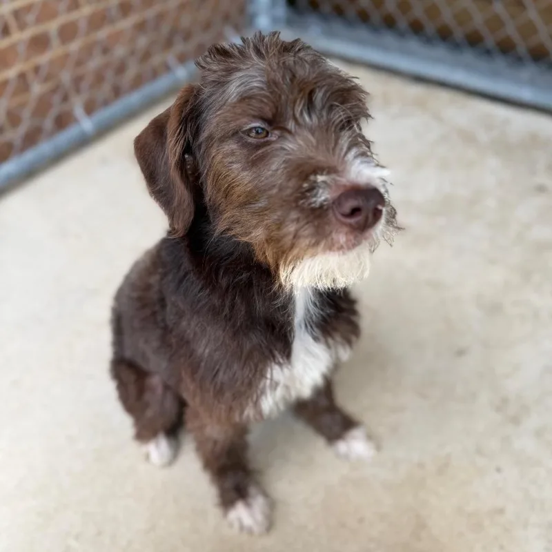 River Annabelle thumbnail 4