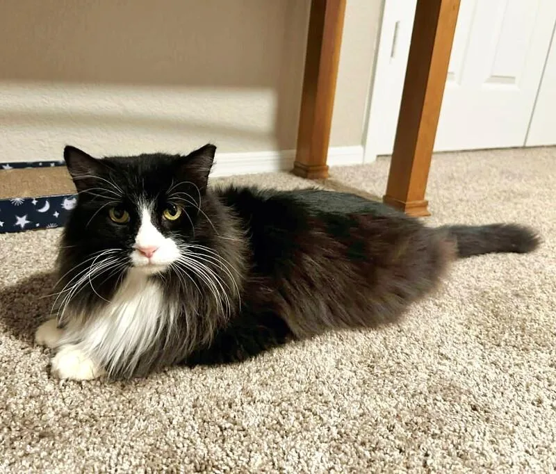 Big Handsome Boy thumbnail 2