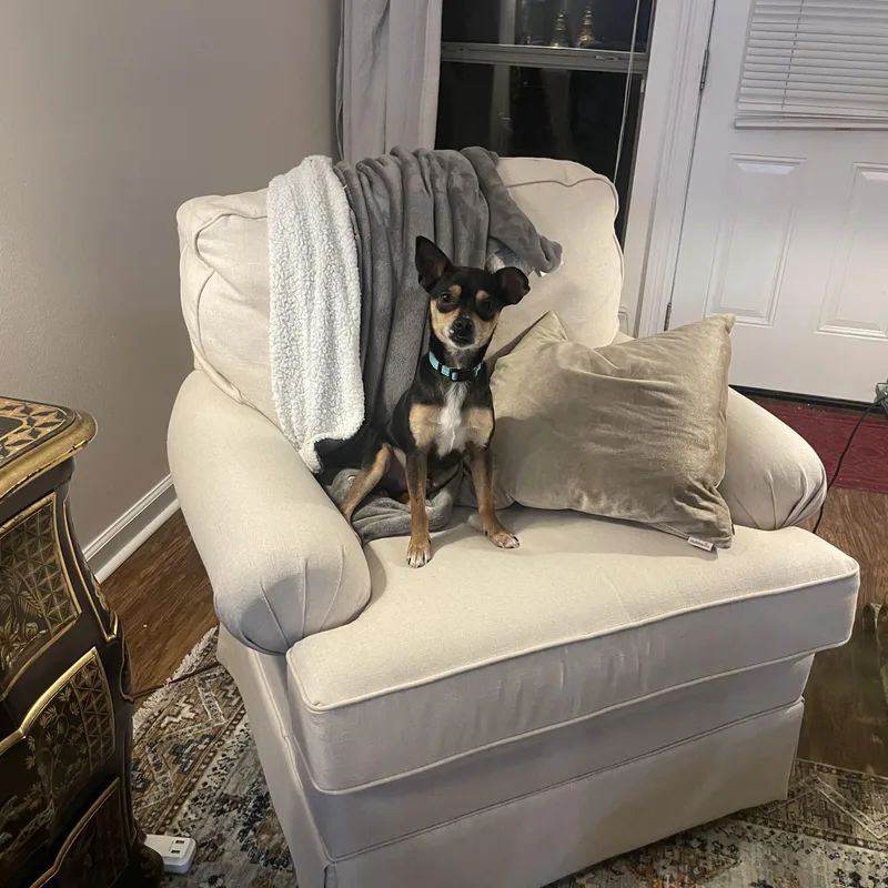 Rascal
